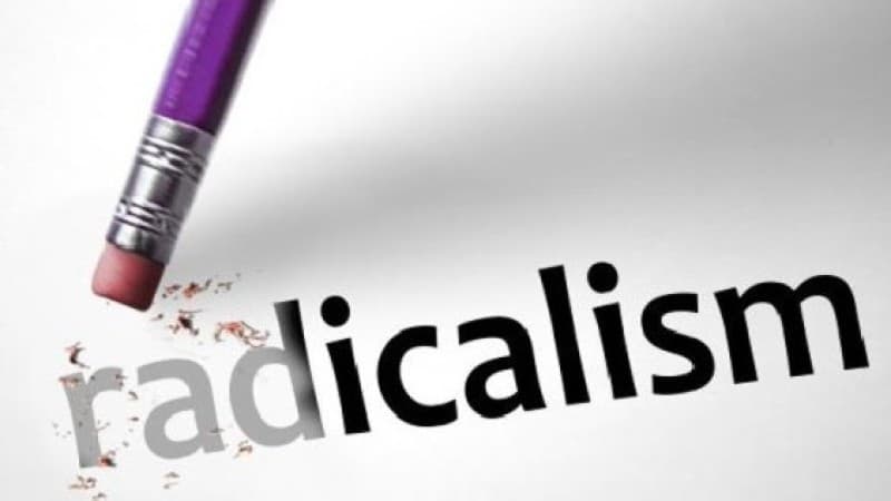 Pakar Statistik UI: Medsos Jadi Inkubator Radikalisme bagi Milenial