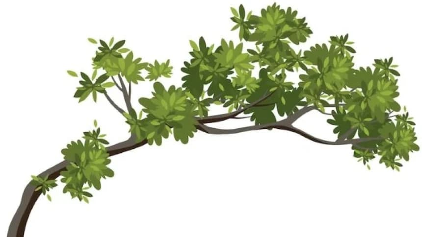 Kerinduan Sebatang Pohon