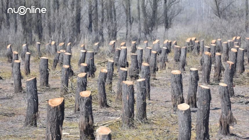 Sunnatullah dalam Bencana Alam: Kerusakan Akibat Ulah Manusia