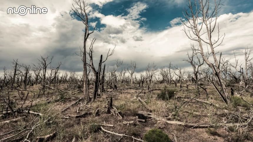 Musibah Tak Selalu Azab: Ini Ragam Musibah dalam Al-Qur’an