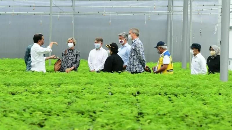 Tinjau Persemaian Rumpin, Presiden Jokowi: Indonesia Serius Tangani Perubahan Iklim