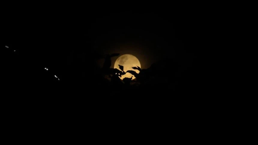 Penjelasan tentang Nuzulul Qur’an dan Lailatul Qadar