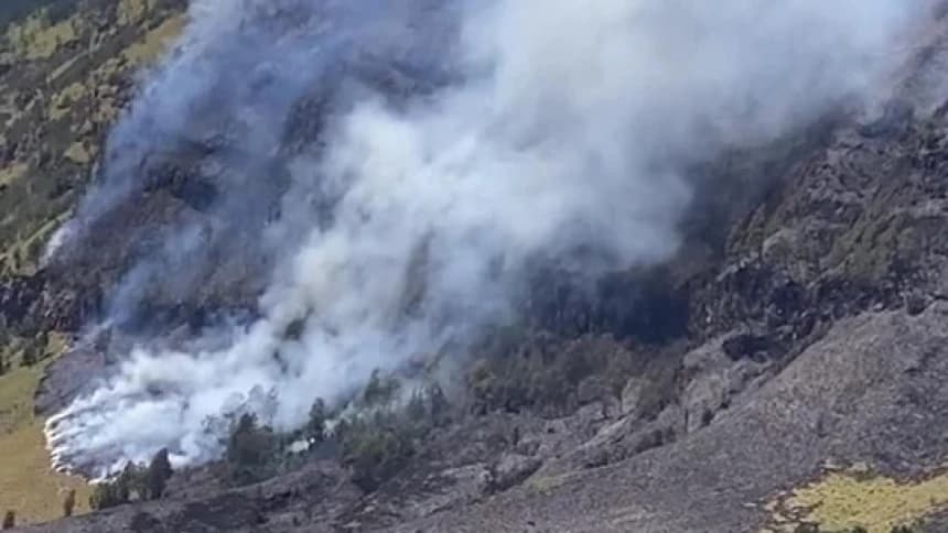 Savana Bromo Hangus Terbakar, LPBINU Sebut Akibat Kelalaian yang Merusak