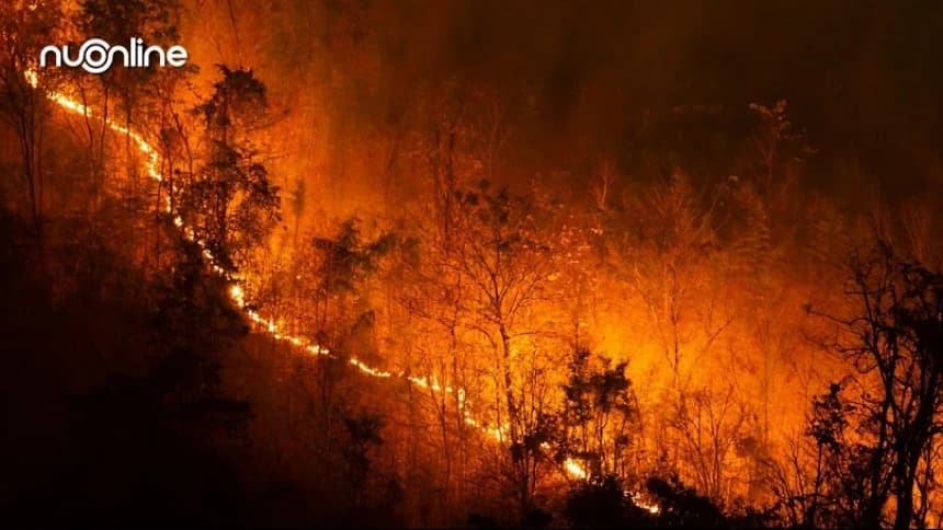 Inilah Hadits-Hadits Nabi tentang Api dan Kebakaran