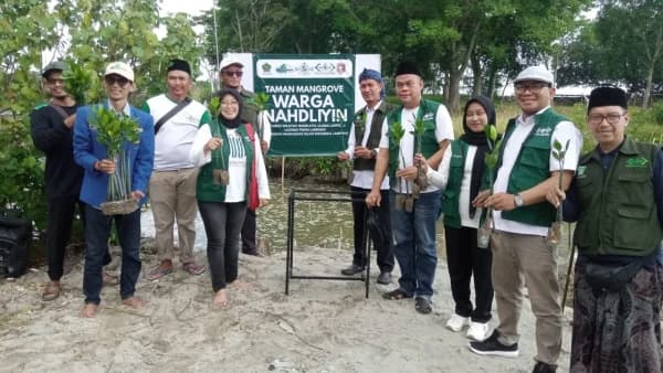 Shodaqoh Oksigen, NU Care-LAZISNU Lampung Tanam Mangrove di Tridarmayoga