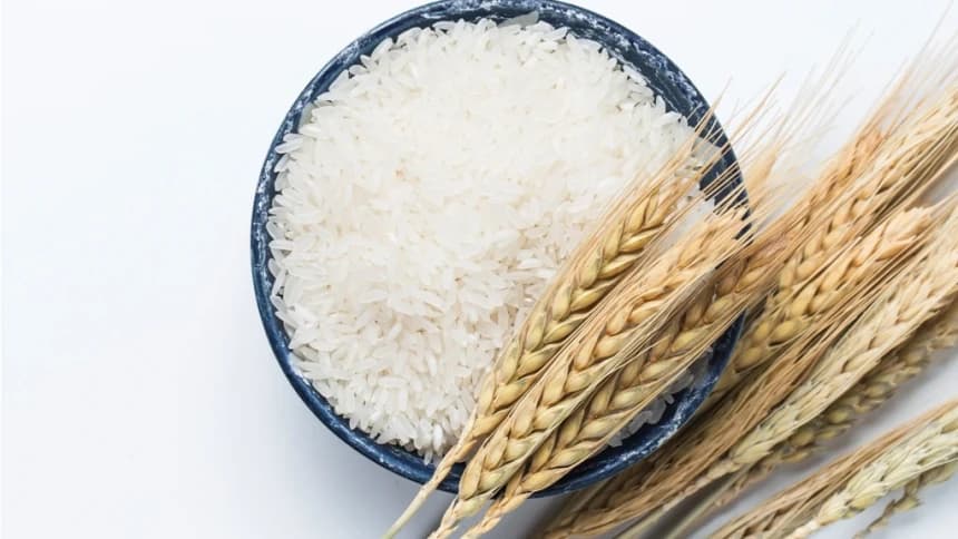 Enam Pahala bagi Pembayar Zakat menurut Al-Quran Hadits