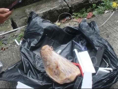 Tempo Dikirimi Kepala Babi Tanpa Telinga, Diduga Teror terhadap Kebebasan Pers