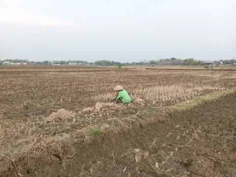 Hari Tani Nasional: Petani Sengsara, Kebijakan Pemerintah Tidak Pro-Petani