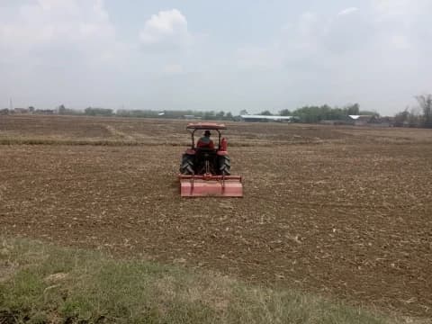 Akademisi Ungkap Profesi Petani Makin Tak Menarik bagi Generasi Muda, Ini Penyebabnya