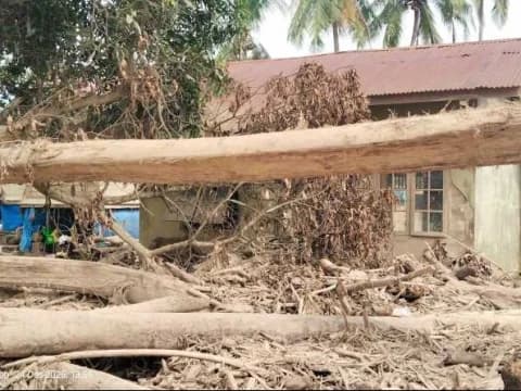 Bencana Ekologi di Sumatra Cermin Gagalnya Negara Lindungi Hutan, Walhi Desak Evaluasi Menyeluruh Tata Ruang