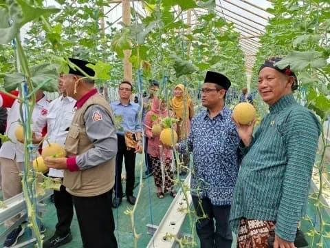PCNU Gunungkidul Gelar Panen Perdana Melon Premium di Cluster Wakaf Produktif