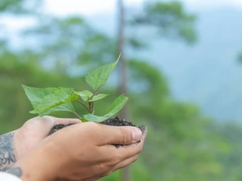 Ekoteologi, Membangun Kesadaran Umat Beragama Hadapi Krisis Iklim