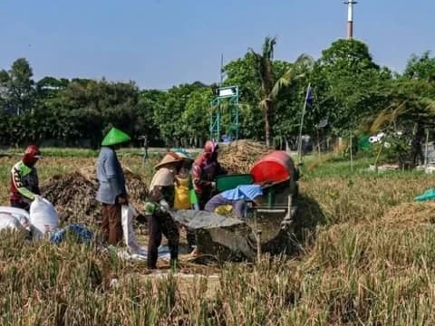 Setahun Prabowo-Gibran: Menata Reforma Agraria di Tengah Dominasi Oligarki Lahan