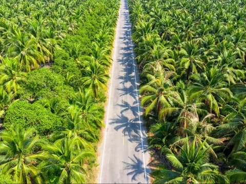Walhi Aceh Sebut Pembalakan Liar dan Kebun Sawit Jadi Biang Kerok Banjir di Pulau Sumatra