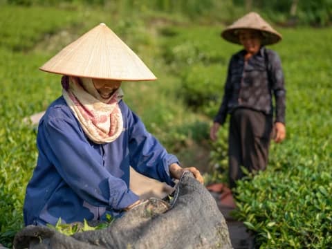 Perempuan di Akar Rumput Pikul Beban Ganda Hadapi Ketidakadilan Pembangunan
