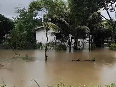 Hukum Zakat kepada Korban Bencana Alam menurut Mazhab Syafi'i