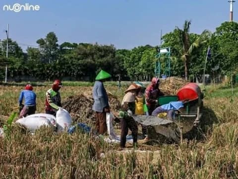 LPNU Minta Pemerintah Pastikan Kebijakan Pupuk Bersubsidi Benar-Benar Sampai ke Petani Kecil