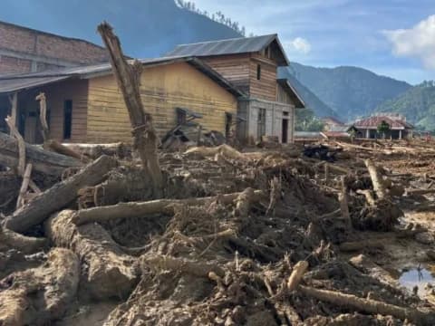 Walhi Nilai Pemerintah Lamban Pulihkan Pascabencana Sumatra, Berpotensi Picu Krisis Baru