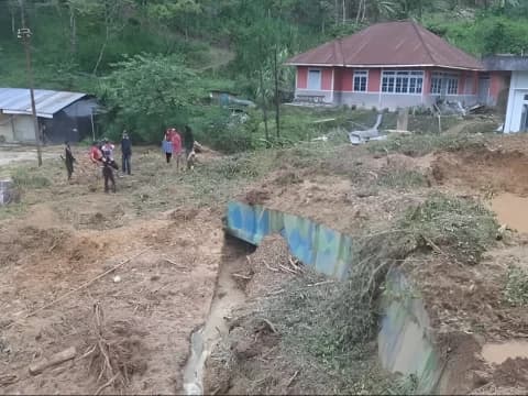 Walhi Minta Negara Pulihkan Kerusakan Ekologis di Sumatra, Tak Cukup Hanya Cabut Izin Pemanfaatan Hutan