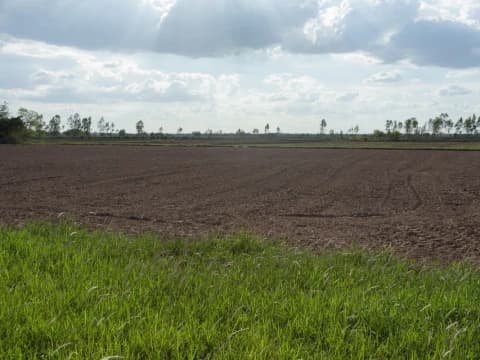 Khutbah Jumat: Menjaga Tanah Subur adalah Menjaga Amanah Allah