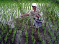 ISNU Ikut Selamatkan Petani dari Lintah Darat