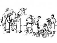 Cerita di Balik Disingkirkannya Nabi Yusuf AS oleh Saudara Tirinya