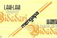 Tentang Bidadara Surga