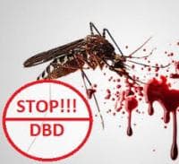 Pemerintah Mesti Kreatif Atasi Wabah DBD