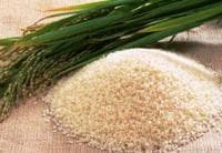 Harga Beras Naik di Subang, Pemerintah Abai Awasi Harga Sembako