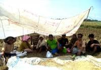 Panen Padi Gerakkan Solidaritas GP Ansor Lakbok