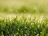 Cuaca Panas, Ini yang dilakukan Rasulullah SAW saat Puasa