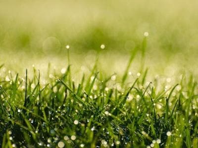 Inilah Batasan Sabar