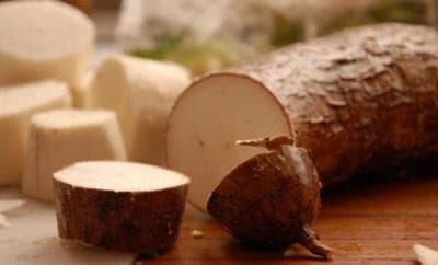 Gus Dur dan Proses Ajaib Tiga Tumbuhan