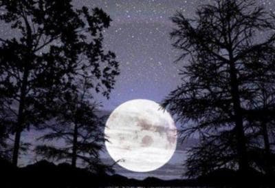 Sejumlah Pandangan Perihal Keistimewaan Lailatul Qadar