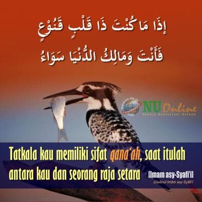 Kunci untuk Menjadi Raja Dunia