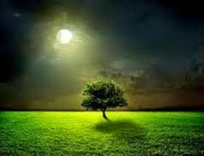 Ini Asal-usul Puasa Hari-hari Putih (Ayyamul Bidh)?