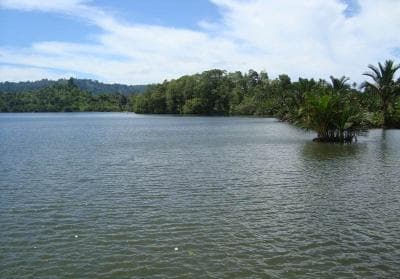 Danau Penuh Buaya