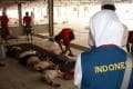 Saudi to send sacrificial meat to Muslims in Indonesia