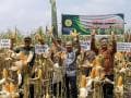 Sejumlah Kawasan di Jawa Timur Gelar Panen Jagung Serentak