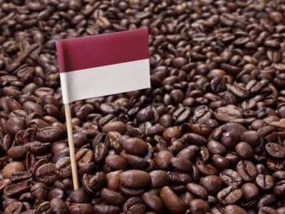 Merawat Indonesia: Berguru pada Kopi