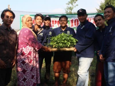 Manfaatkan Pekarangan Rumah, Tani Millenial dan Kaum Emak di Jombang Tanam Holtikultura