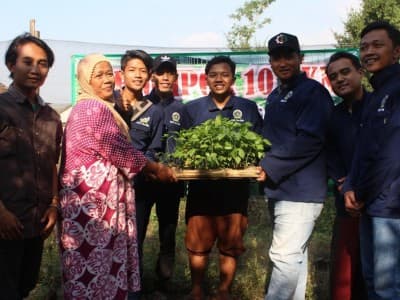 Manfaatkan Pekarangan Rumah, Tani Millenial dan Kaum Emak di Jombang Tanam Holtikultura