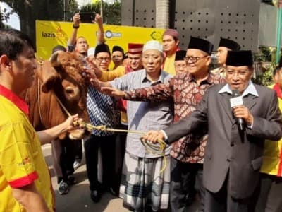 PBNU Kembali Terima Kurban 2 Sapi Limosin