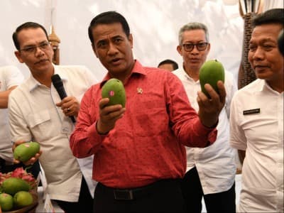 Mentan: Ekspor Memperkuat Merah Putih, Impor Melemahkan Petani Kita