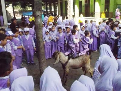 Cara Lembaga pendidikan Roushon Fikr Jombang Ajari Anak Asuhnya Berkurban