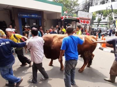 PBNU Distribusikan Hewan Kurban hingga Luar Negeri