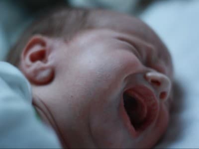 Delapan Bayi Lahir di Tanah Suci Selama Musim Haji 2019