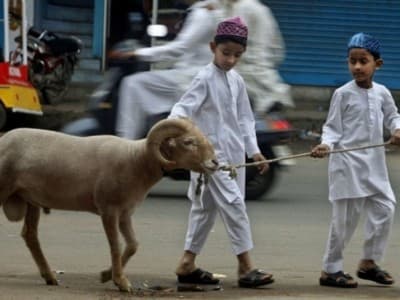 Dimensi Sosial dalam Ibadah Kurban: Belajar Sifat Asih Nabi Ibrahim