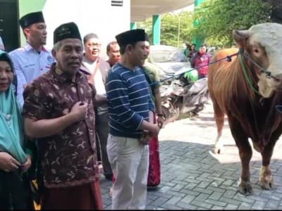 Keluarga Khofifah Serahkan Kurban Sapi ke NU Jatim