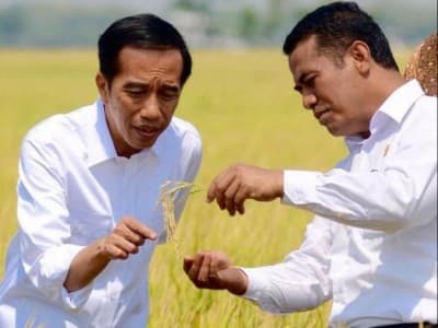 Wujudkan Pertanian 4.0, Presiden Jokowi Minta Petani Olah Ladang Tanpa Bakar